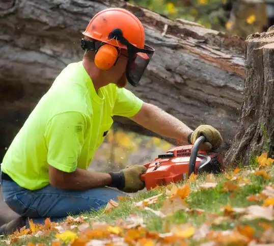 tree services La Plata